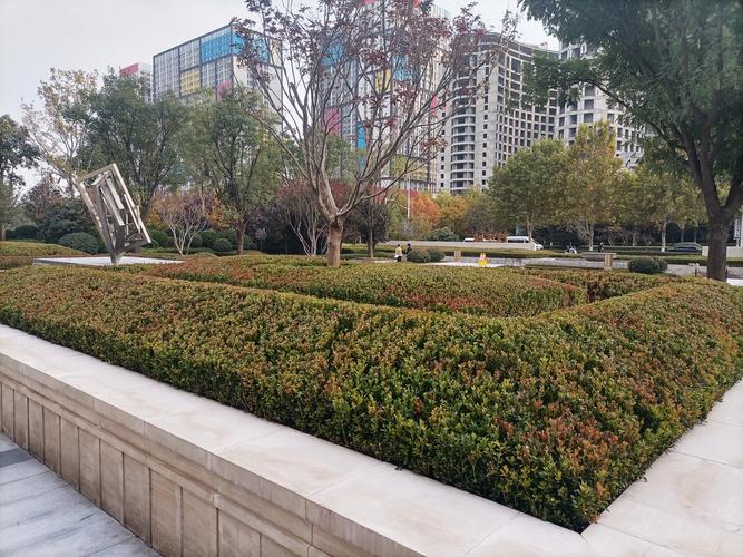 郑州禾木园林绿化工程 匠心养护与景观营造，绘就城市生态画卷