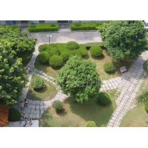 工厂绿化承包公司 打造生态工业园区的园林景观工程专家